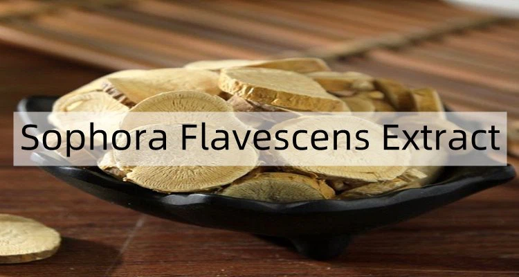 Sophora Flavescens Extract.png